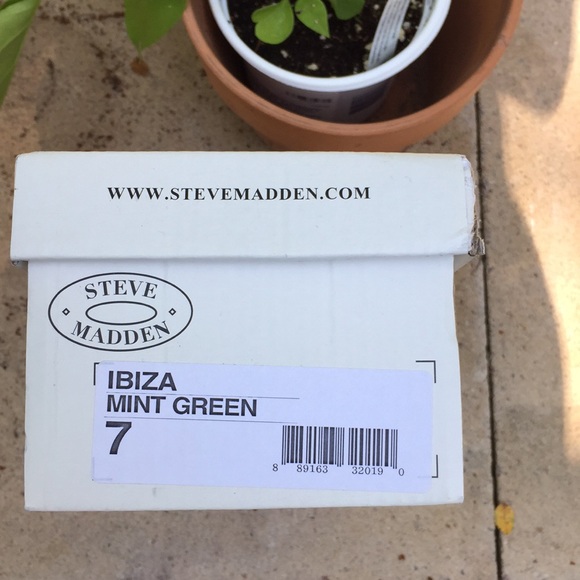 Never worn Ibiza Mint Steve Madden flats - Picture 8 of 8